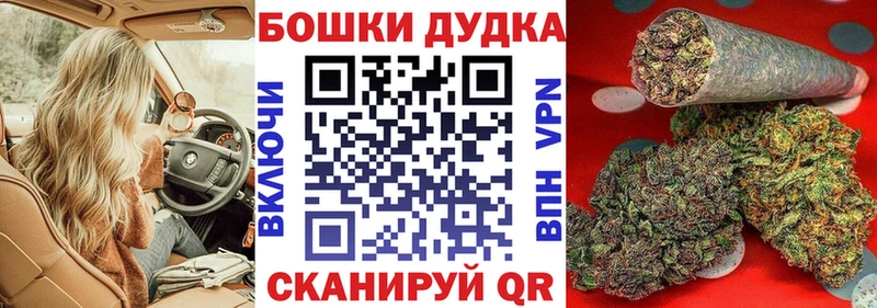 купить наркоту  Котлас  Конопля ГИДРОПОН 